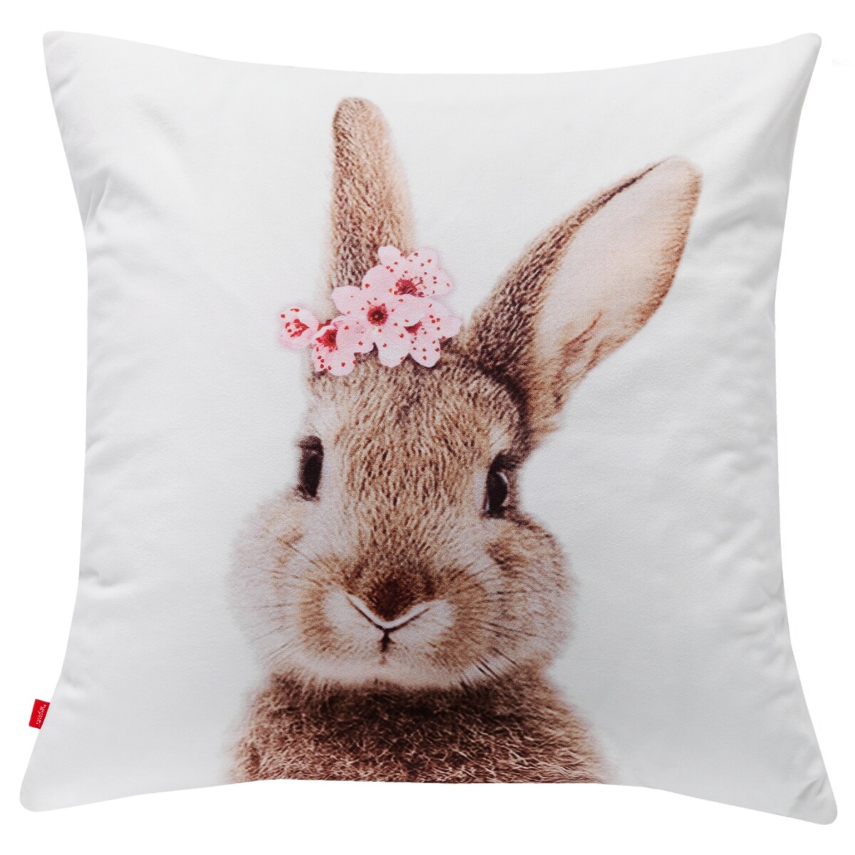 Poszewka Rabbicute
