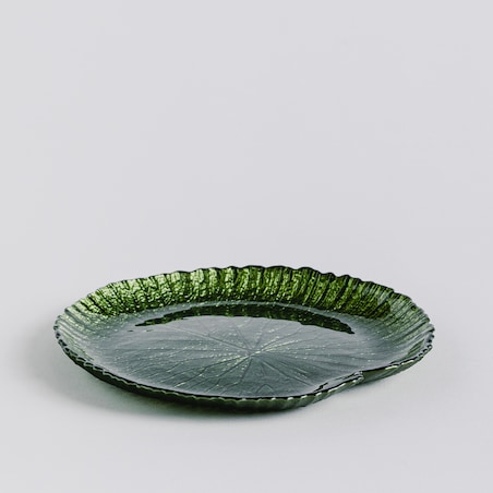Patera Catio