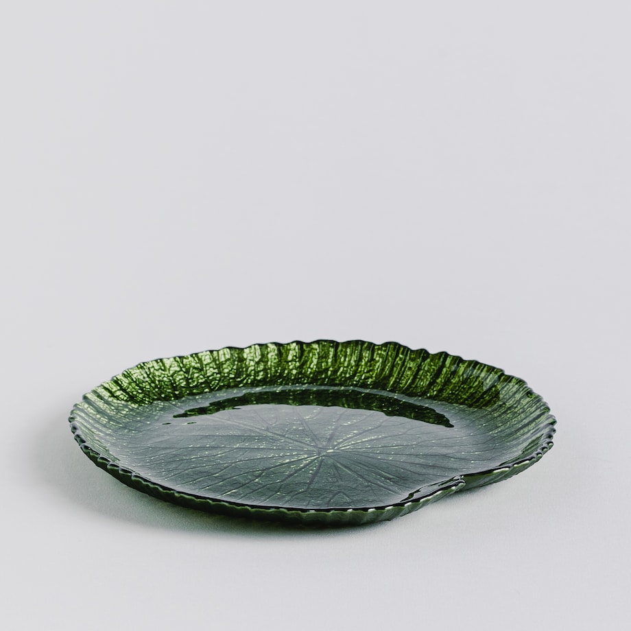 Patera Catio