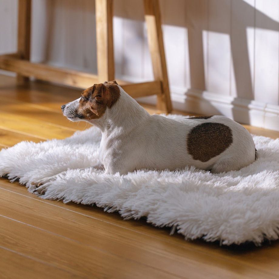 Legowisko Fluffy Togo