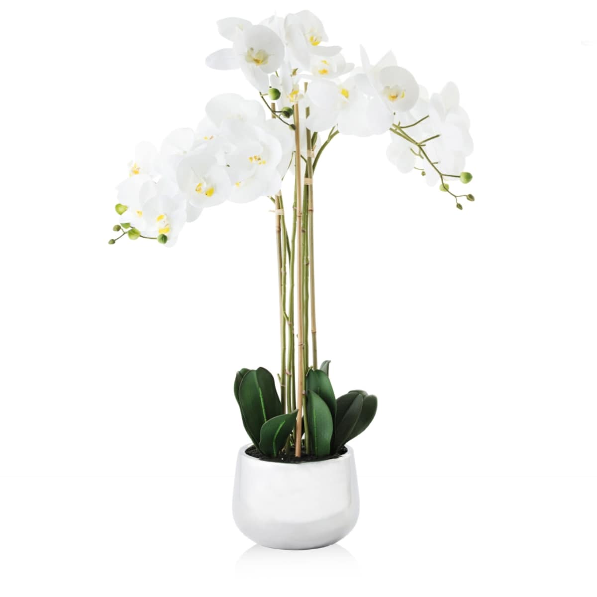 Stroik Orchida