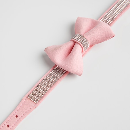 Obroża dla zwierząt Astri