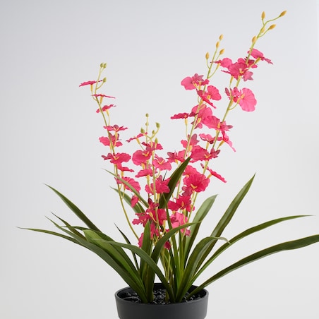 Stroik Lunelia z motywem roślinnym