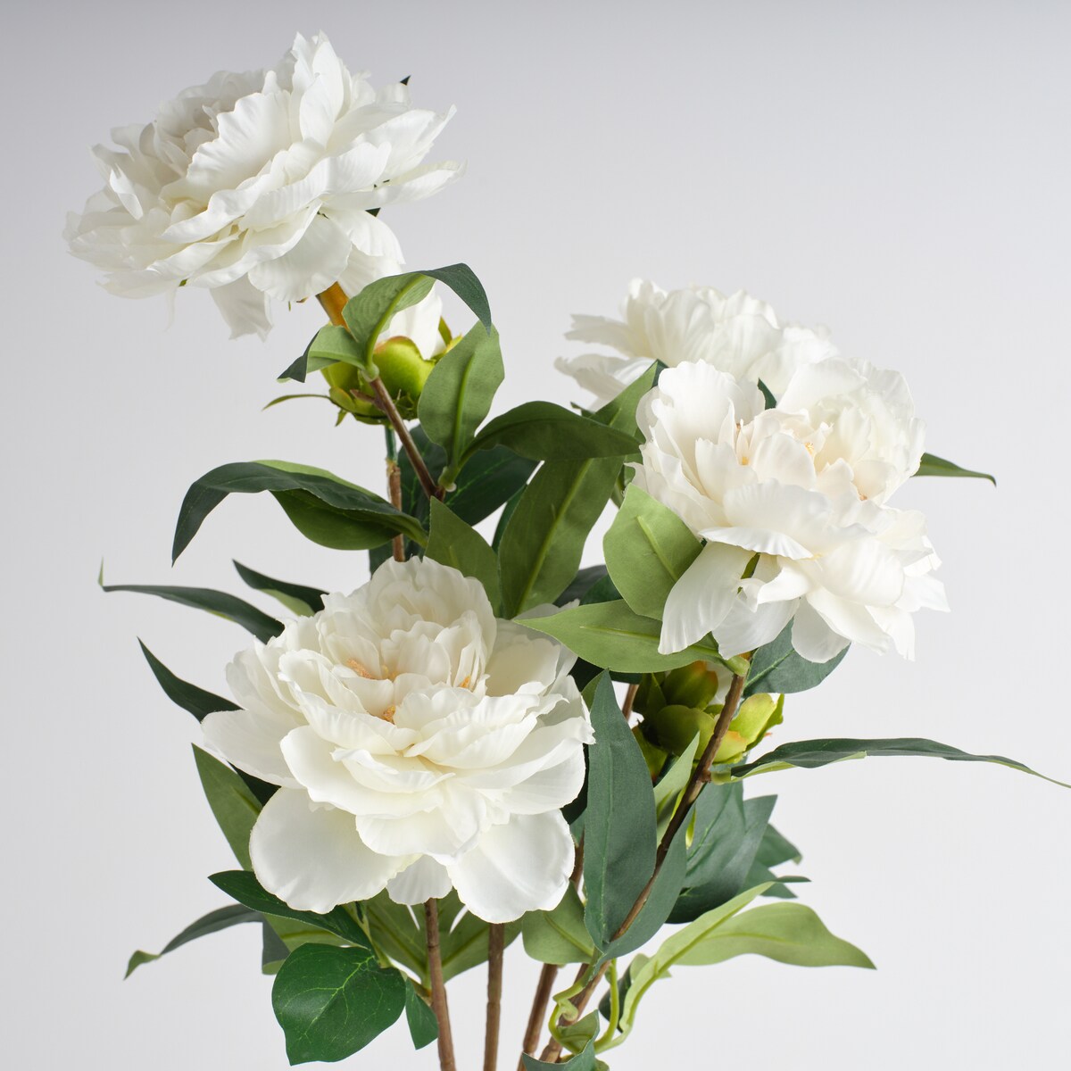 Stroik Floriva
