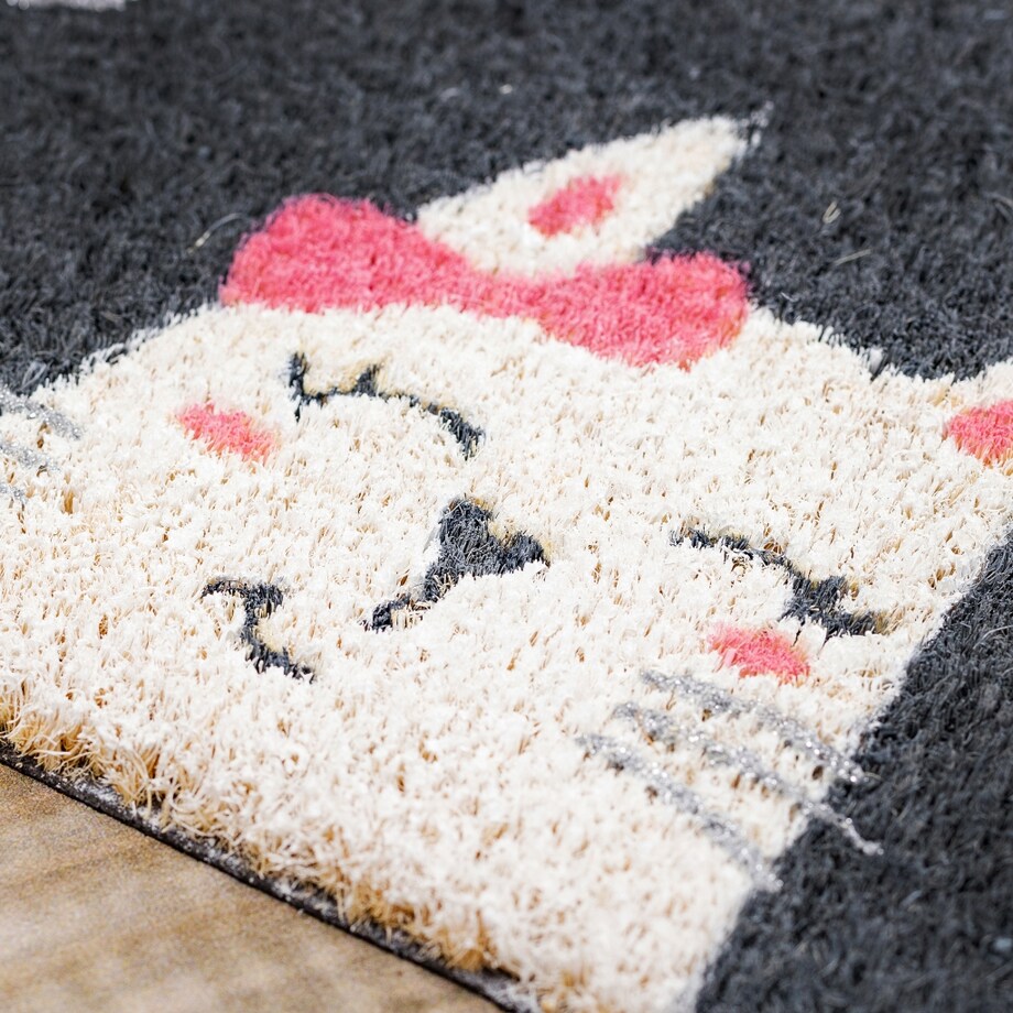 Wycieraczka Lovecat 40x60 cm