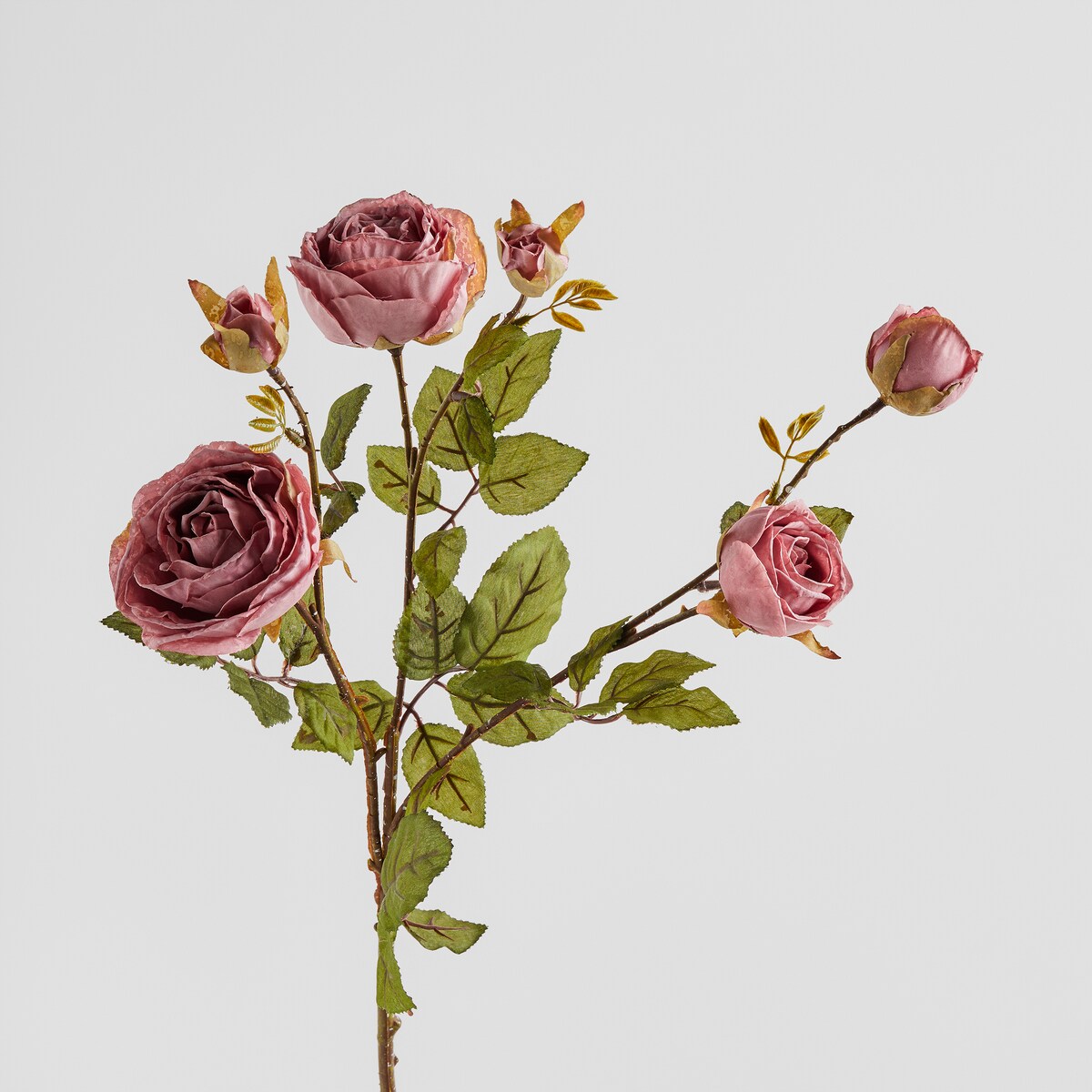 Kwiat Roseso