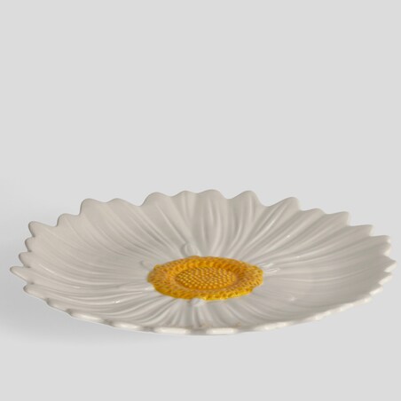 Patera Daisies