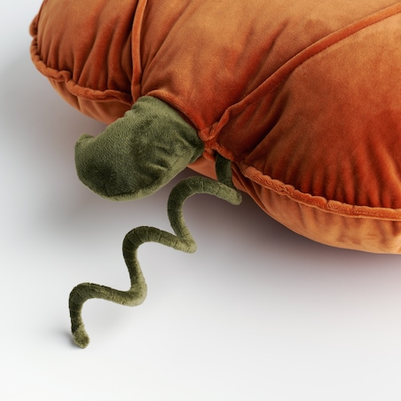 Poduszka Dekoracyjna Pumpinic