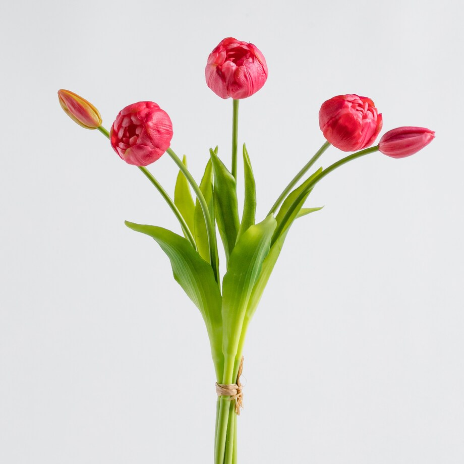 Bouquet Tulipanis 