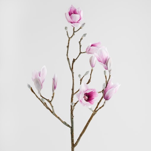 Kwiat Magnoso z motywem roślinnym