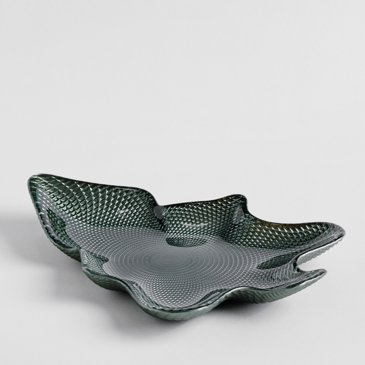 Patera Natalesso