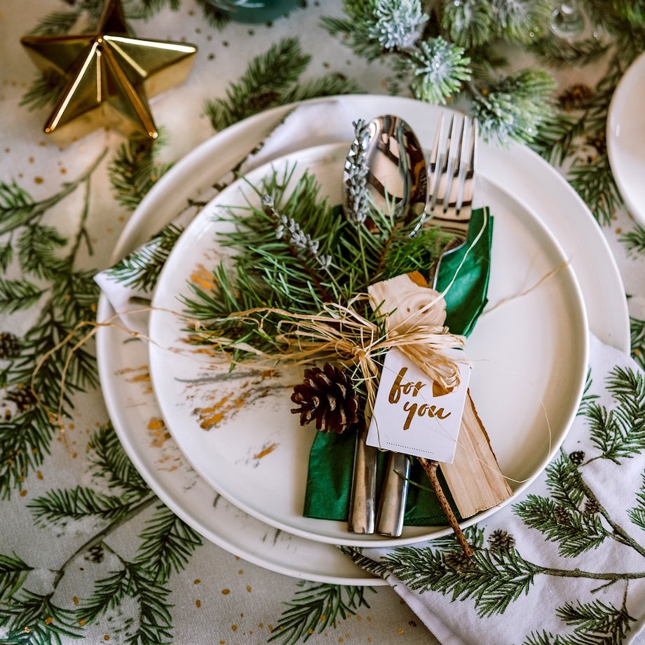 Talerz Obiadowy Debis