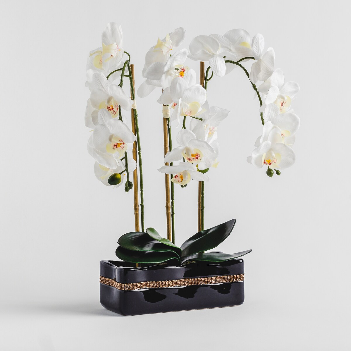 Stroik Orchianum Diam