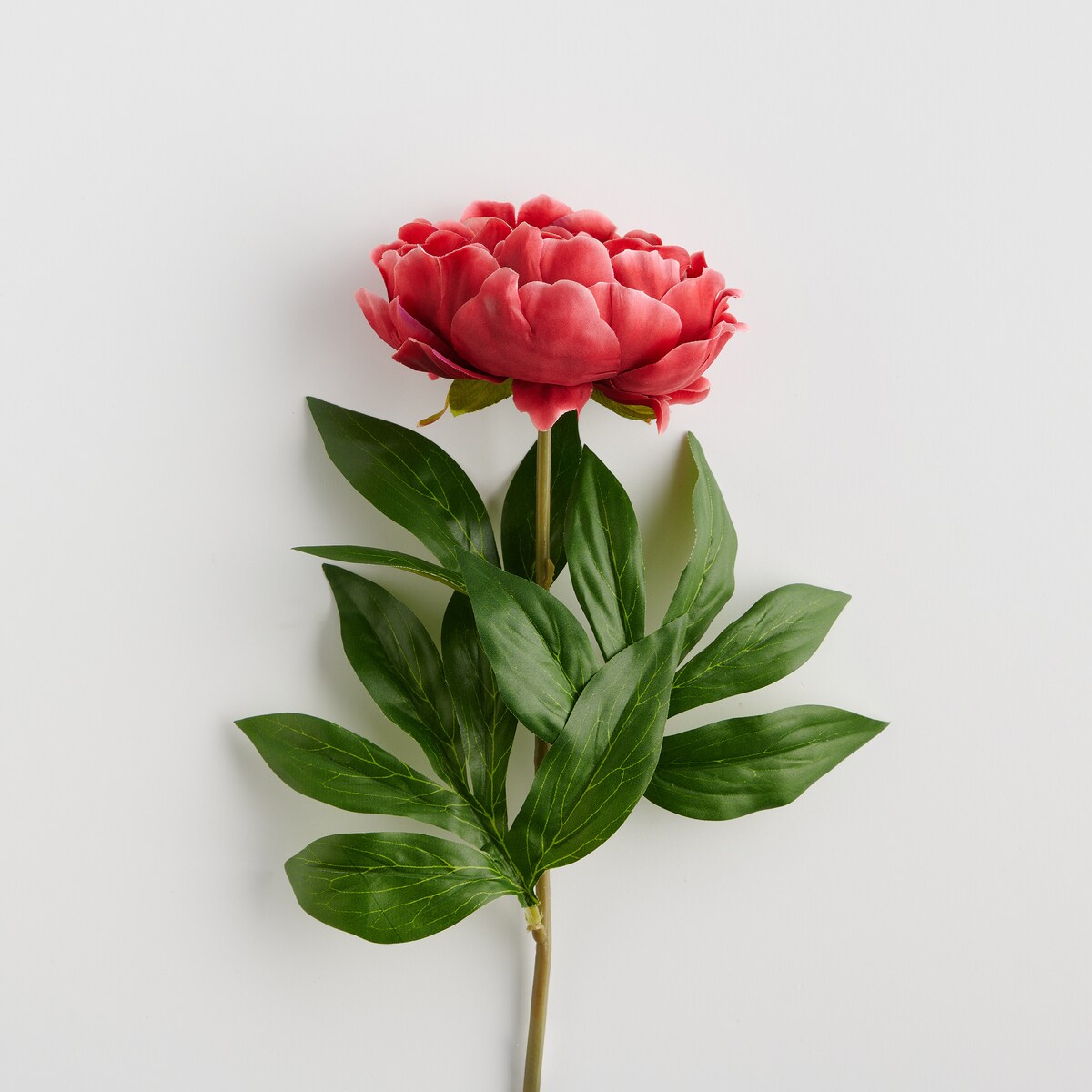 Kwiat Amelia z motywem roślinnym