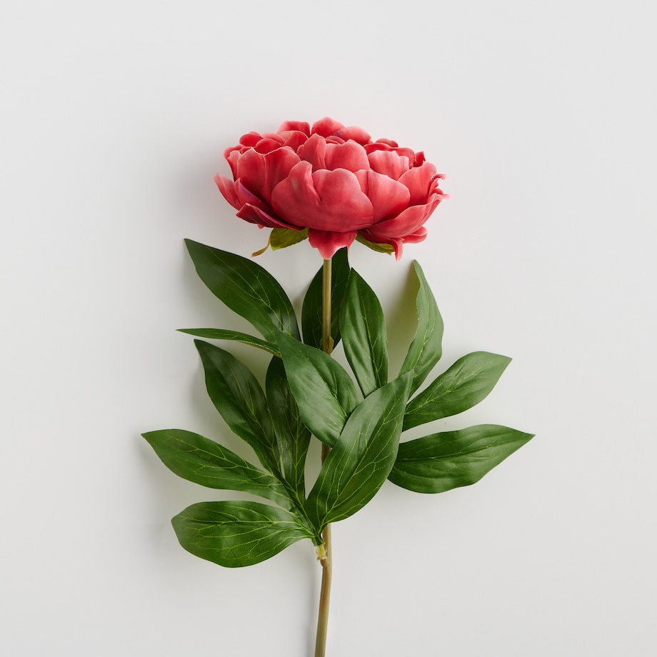 Kwiat Amelia z motywem roślinnym