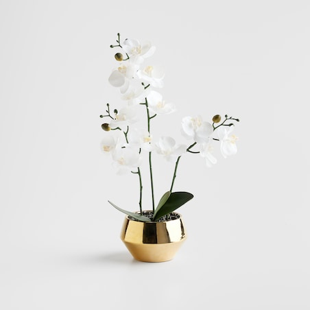 Stroik Orchitio z motywem roślinnym