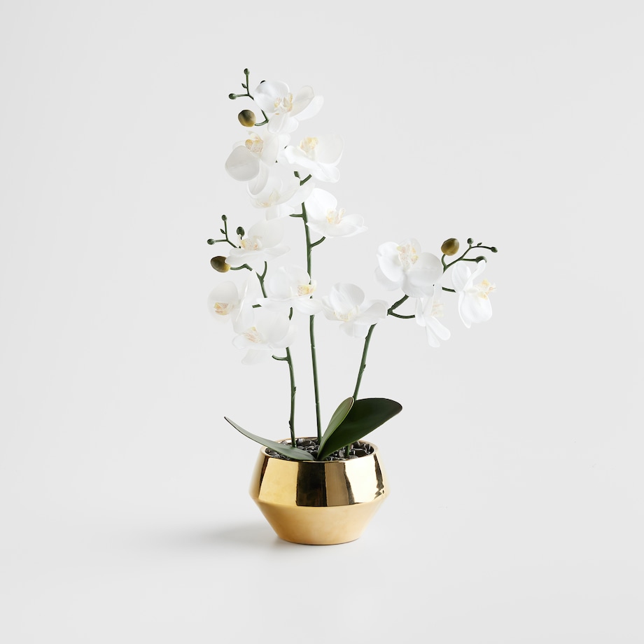 Stroik Orchitio z motywem roślinnym