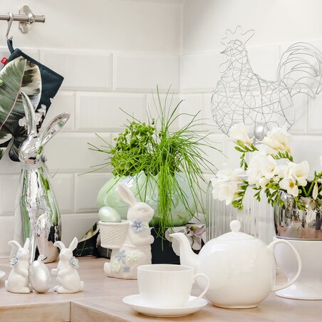 Donica Rabbi Rose New