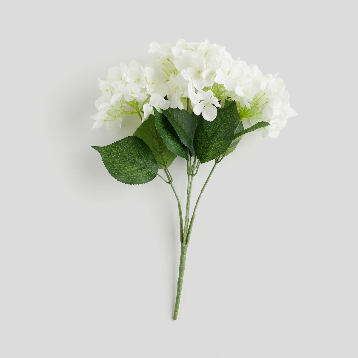 Bukiet Hortensio