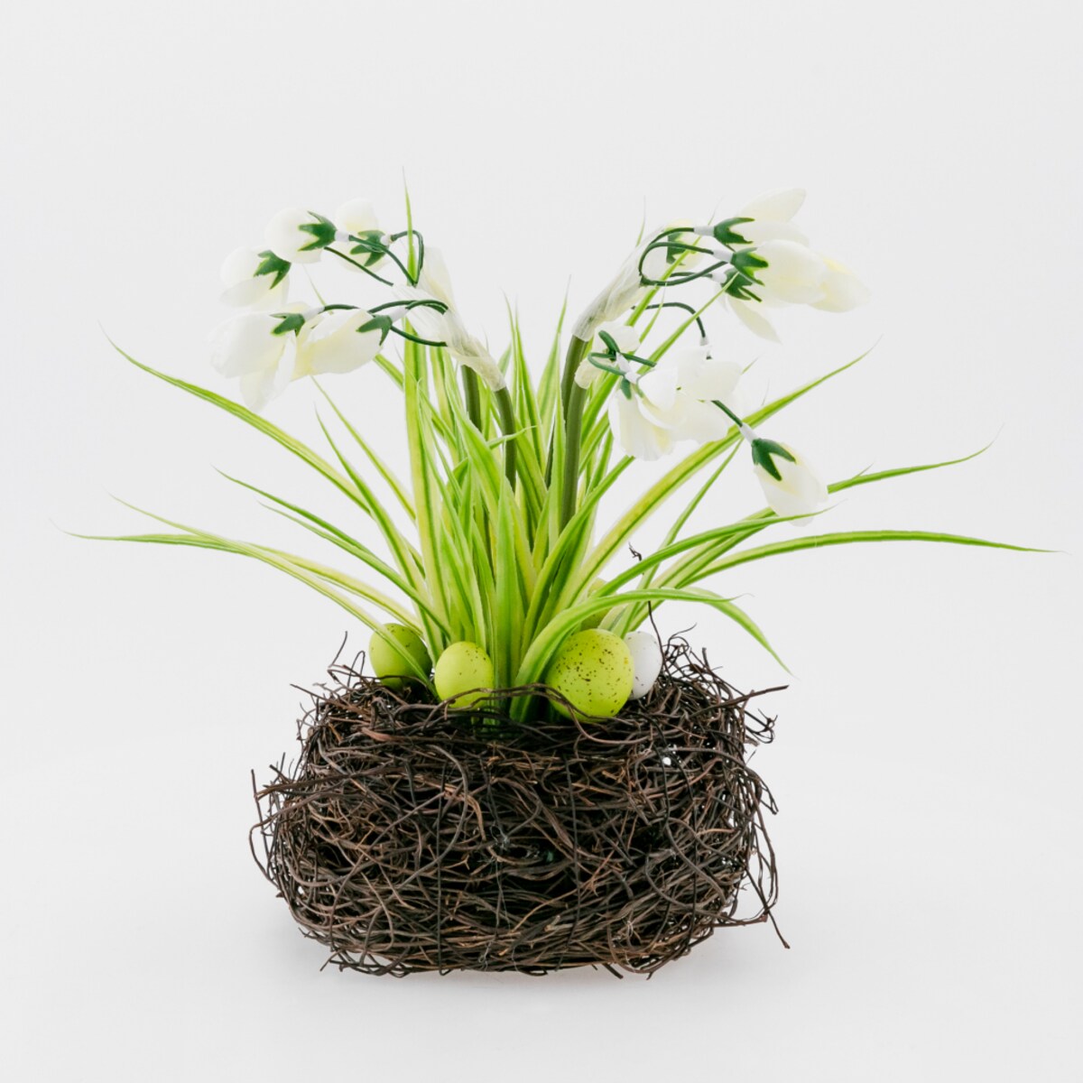 Stroik Crocus