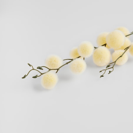 Kwiat Divinos z motywem abstrakcyjnym