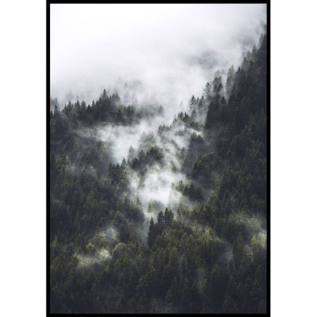 plakat las we mgle 21x30 cm