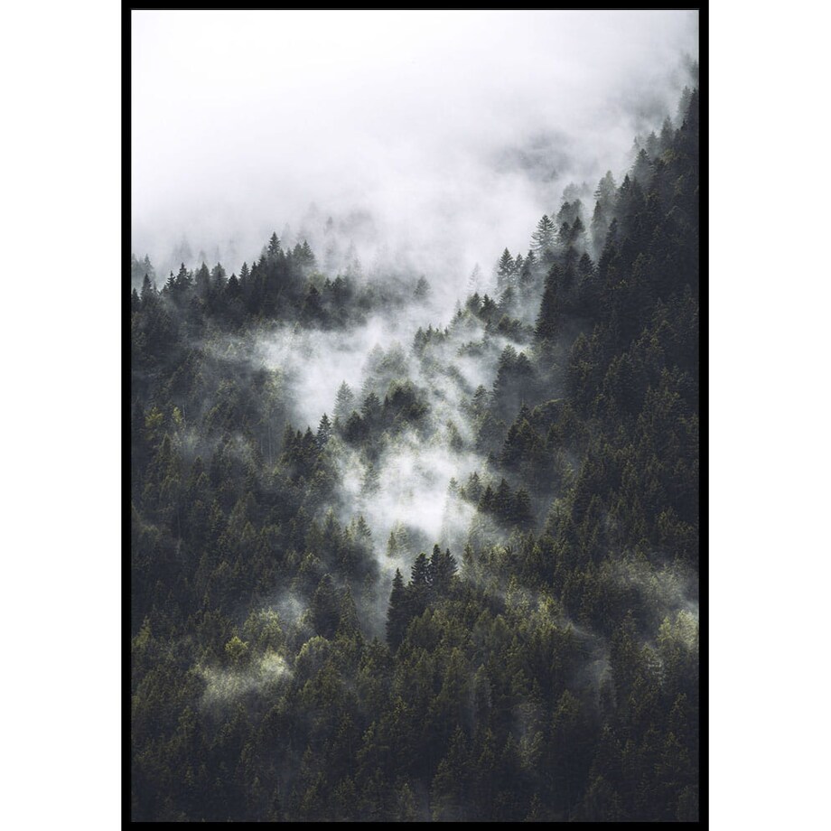 plakat las we mgle 21x30 cm