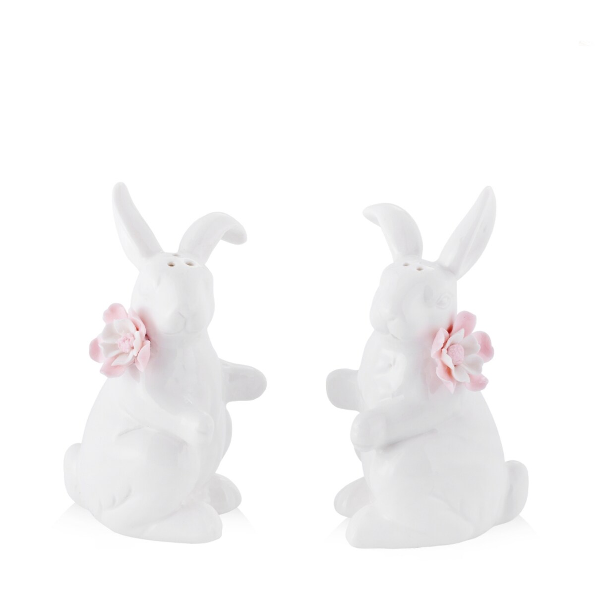 Solniczka I Pieprzniczka Rabbi Rose