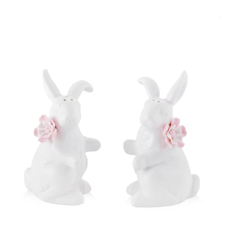 Solniczka I Pieprzniczka Rabbi Rose