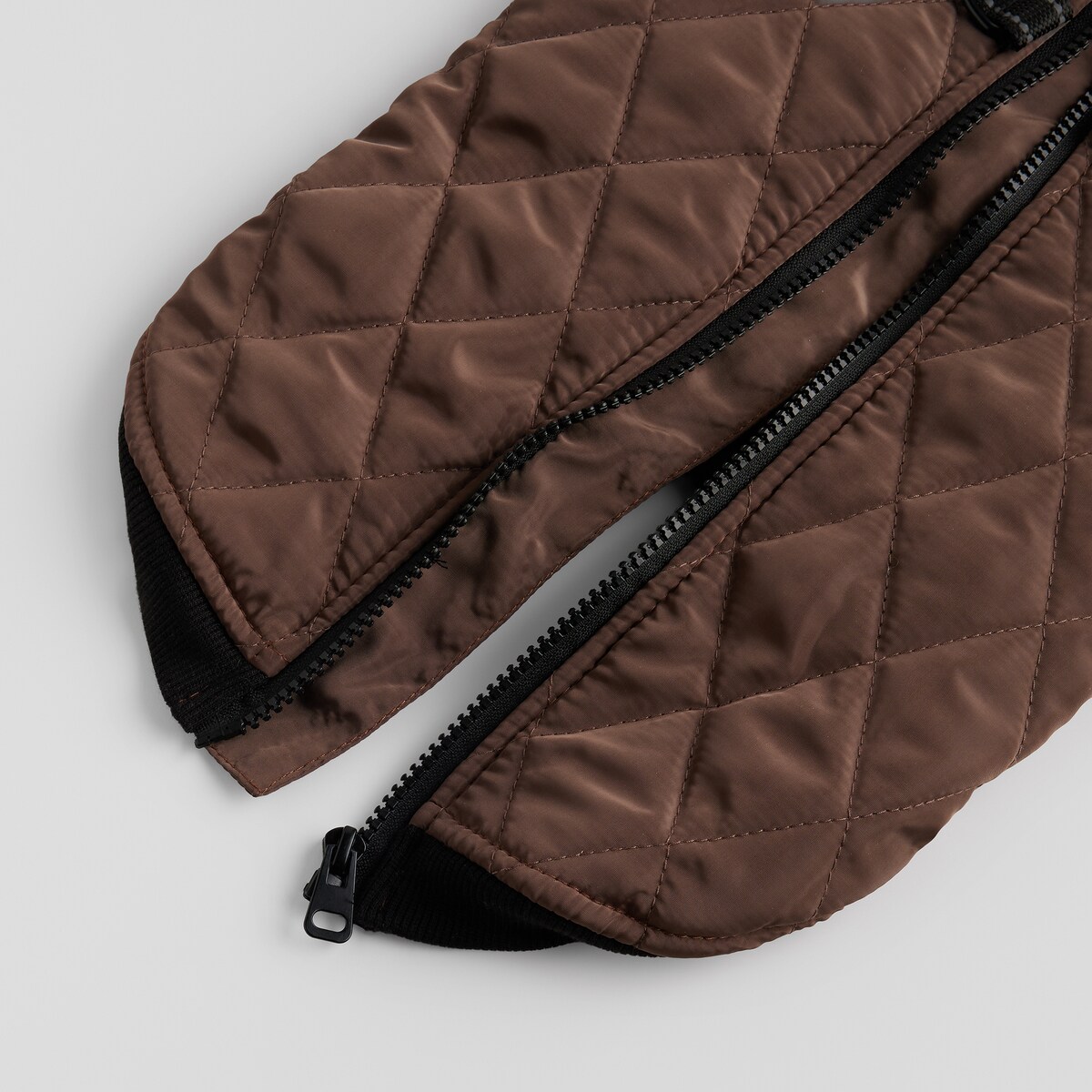 Ubranko Dla Zwierzaka Celio