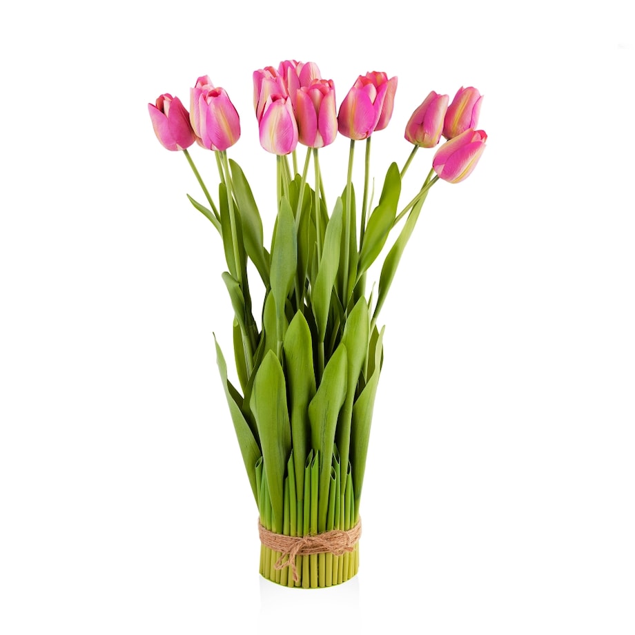 Stroik Tulip