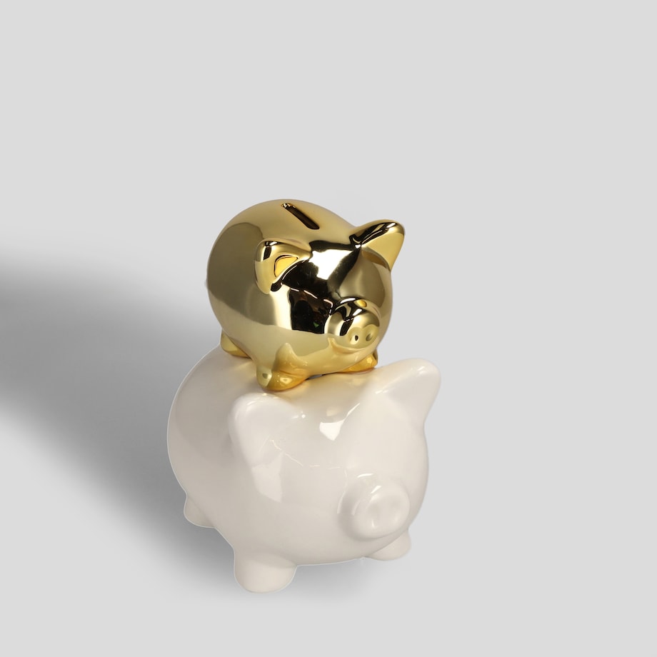 Skarbonka Theirmoney