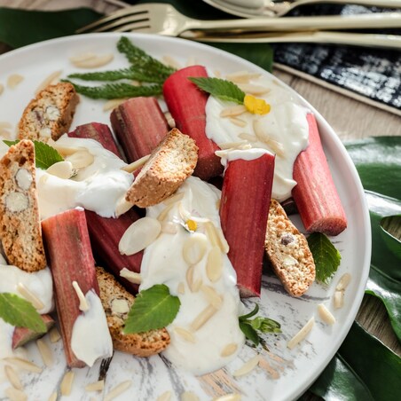 Talerz Obiadowy Debis