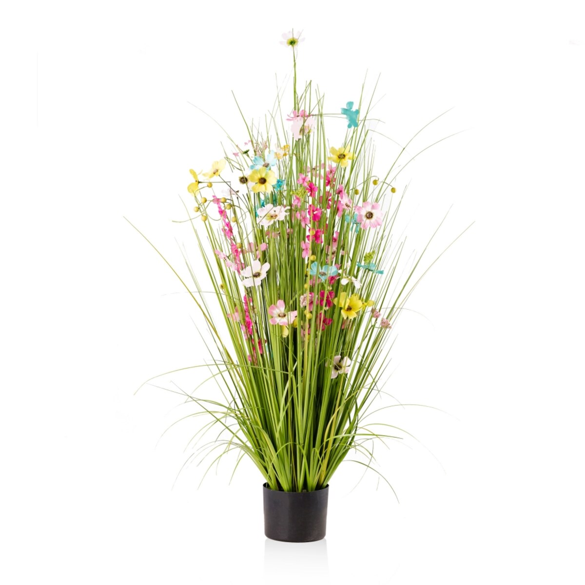 Stroik Leriden | home-you.com