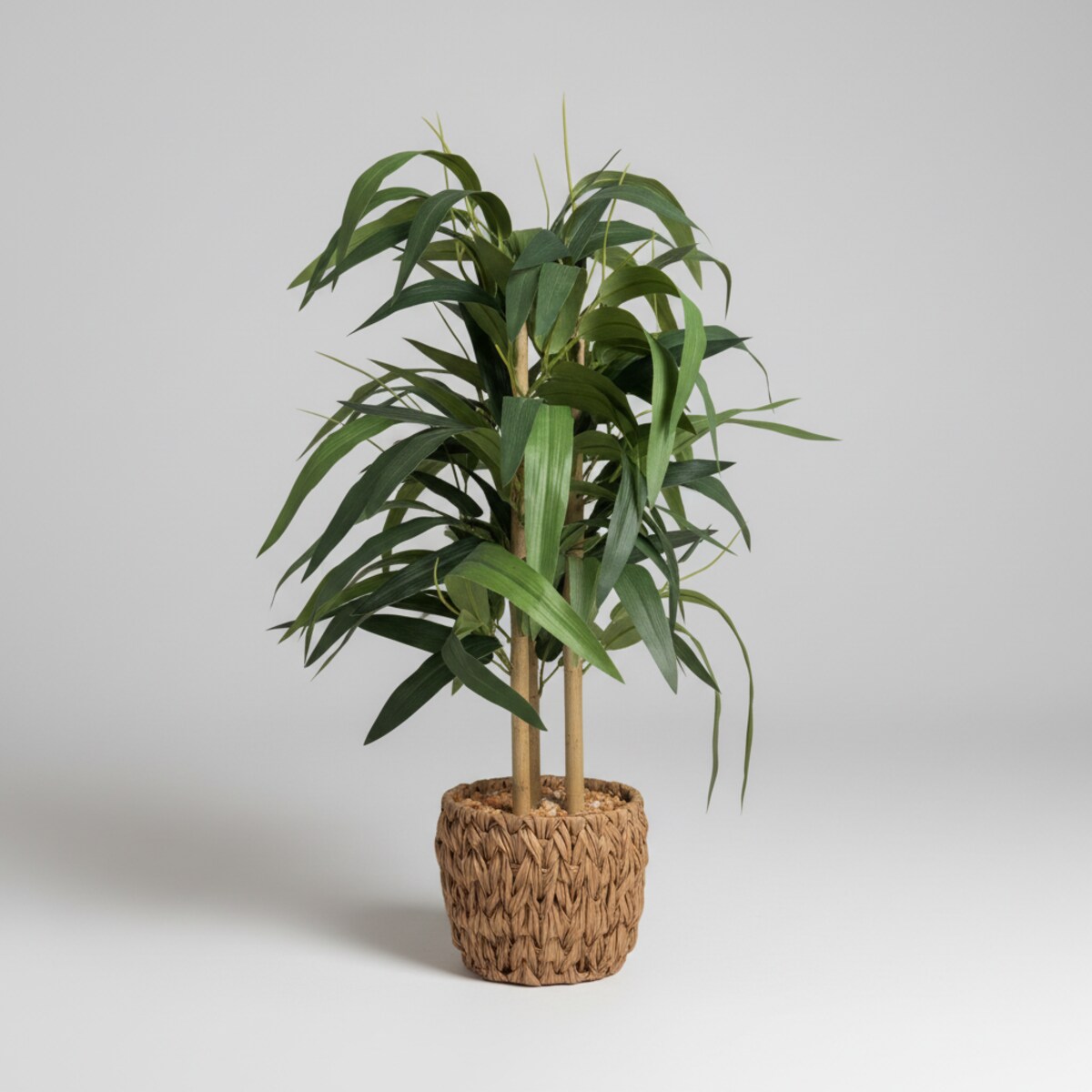 Stroik Bonesto z motywem roślinnym