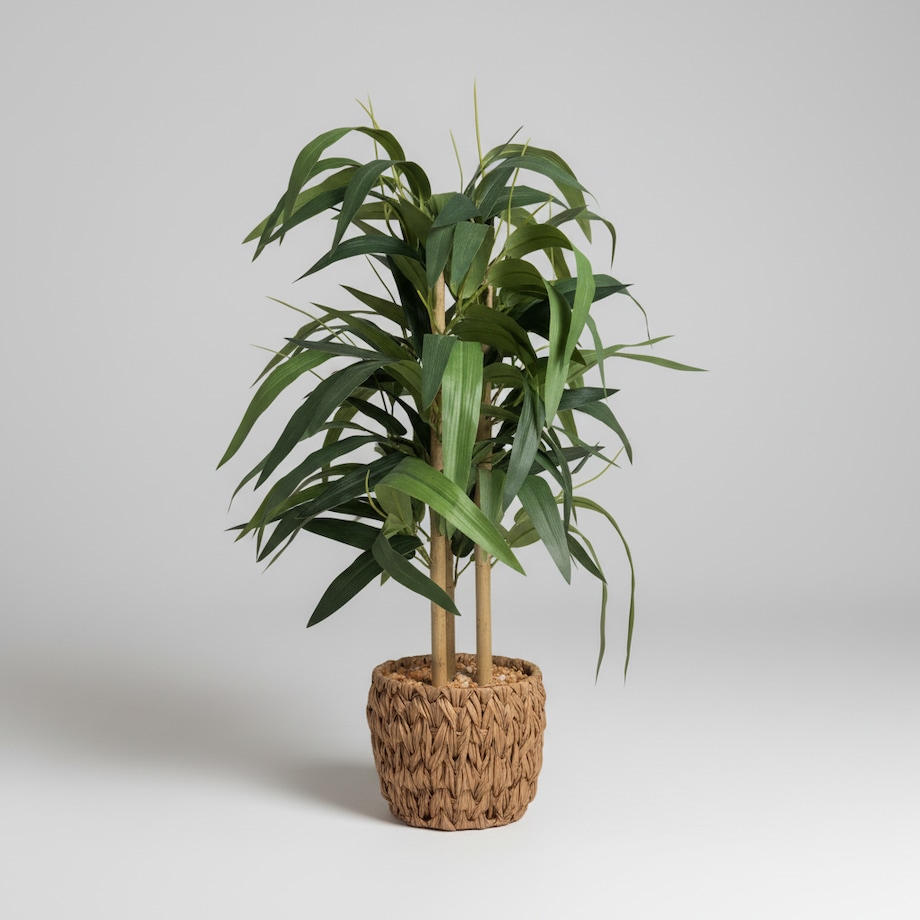 Stroik Bonesto z motywem roślinnym