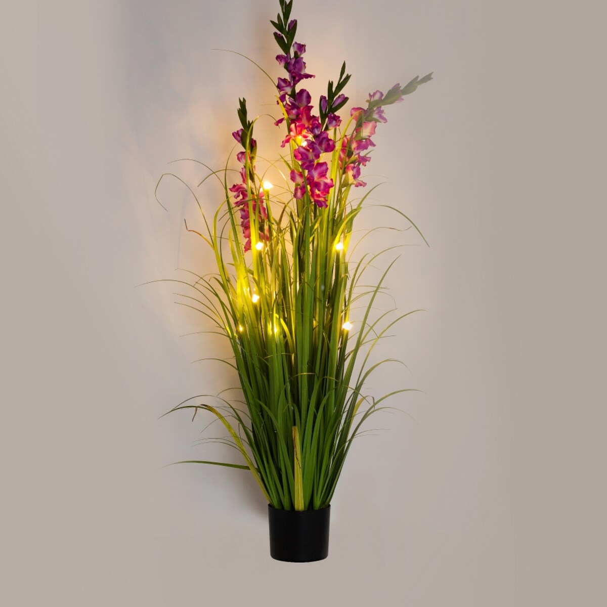 Stroik Led Gladiola