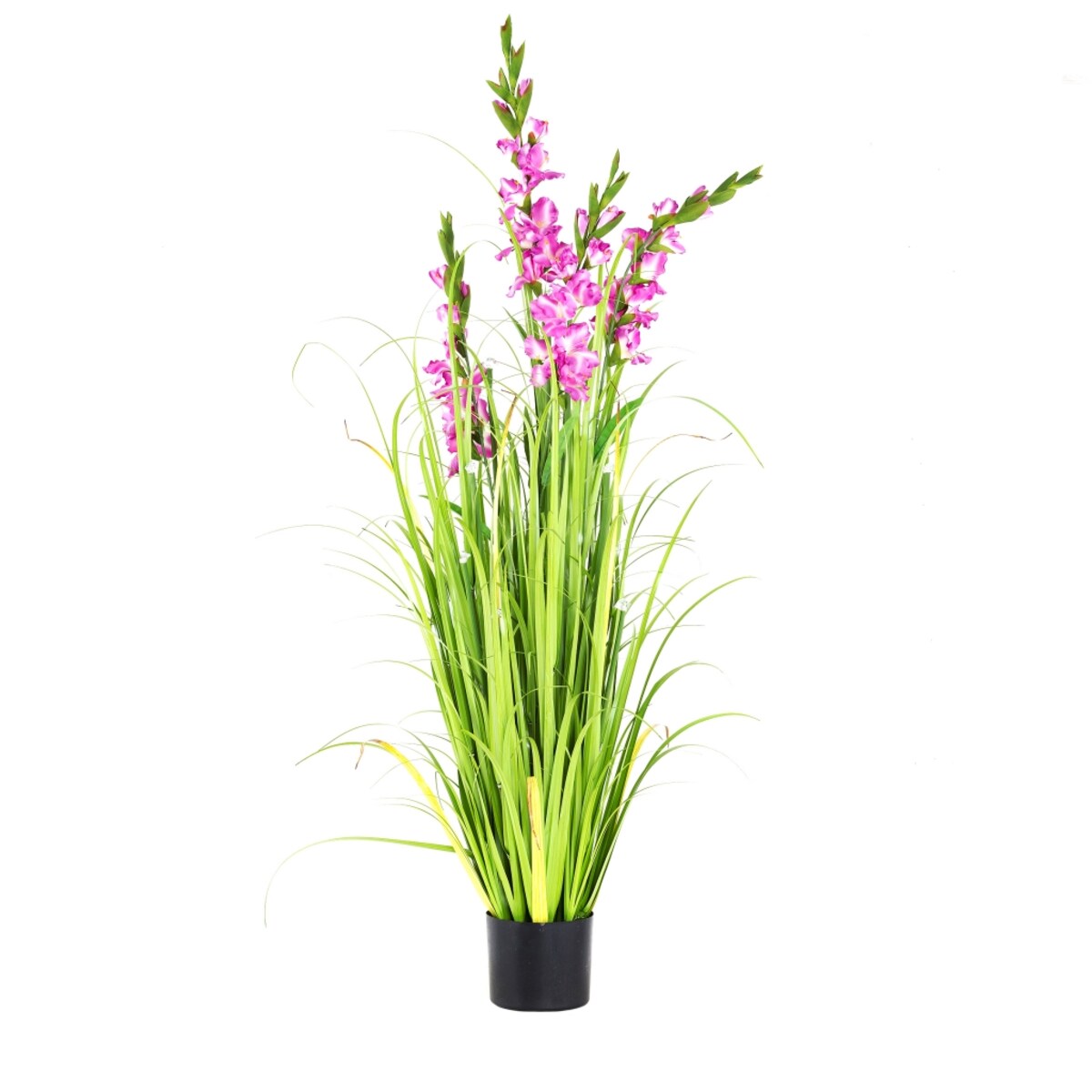 Stroik Led Gladiola