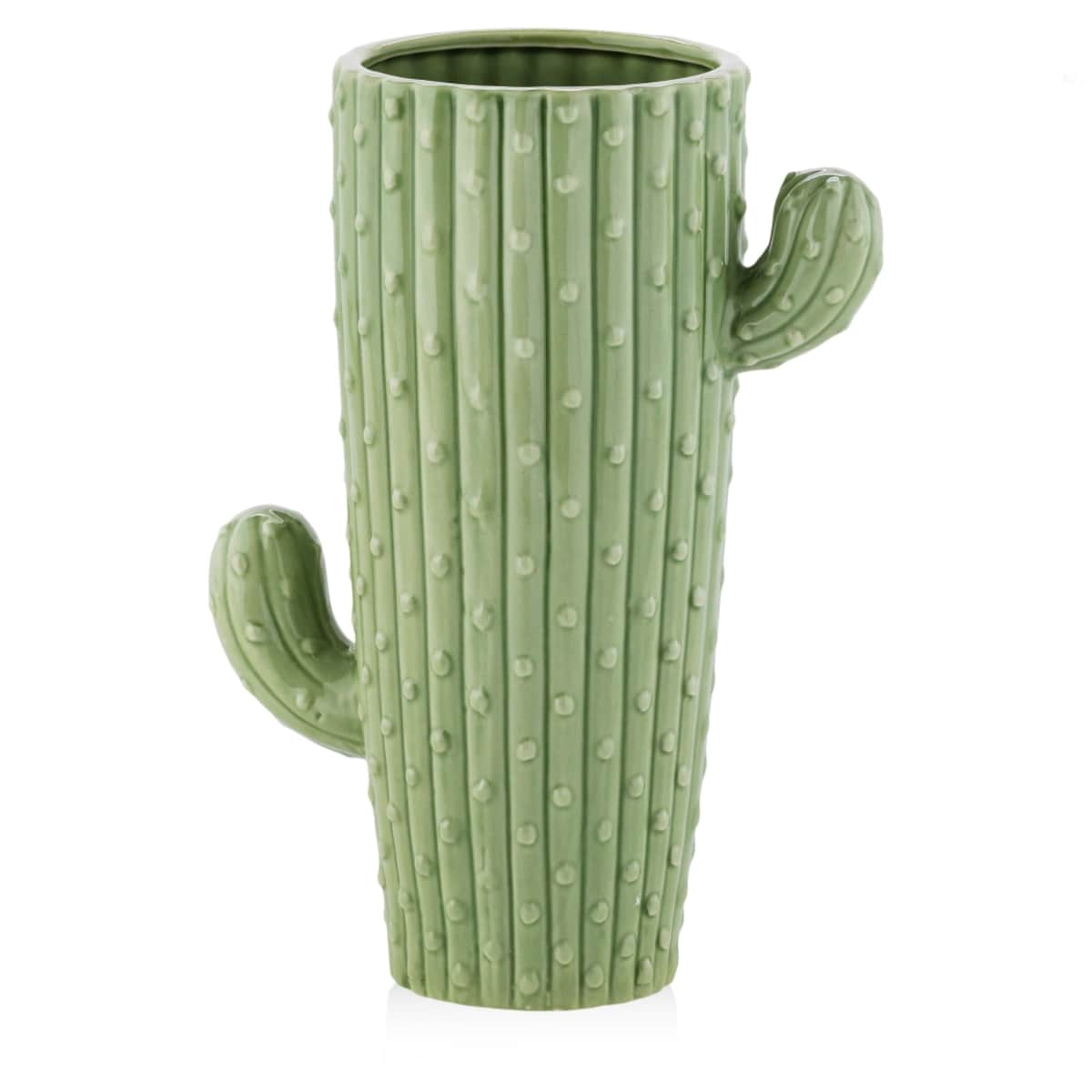 Wazon Cactus