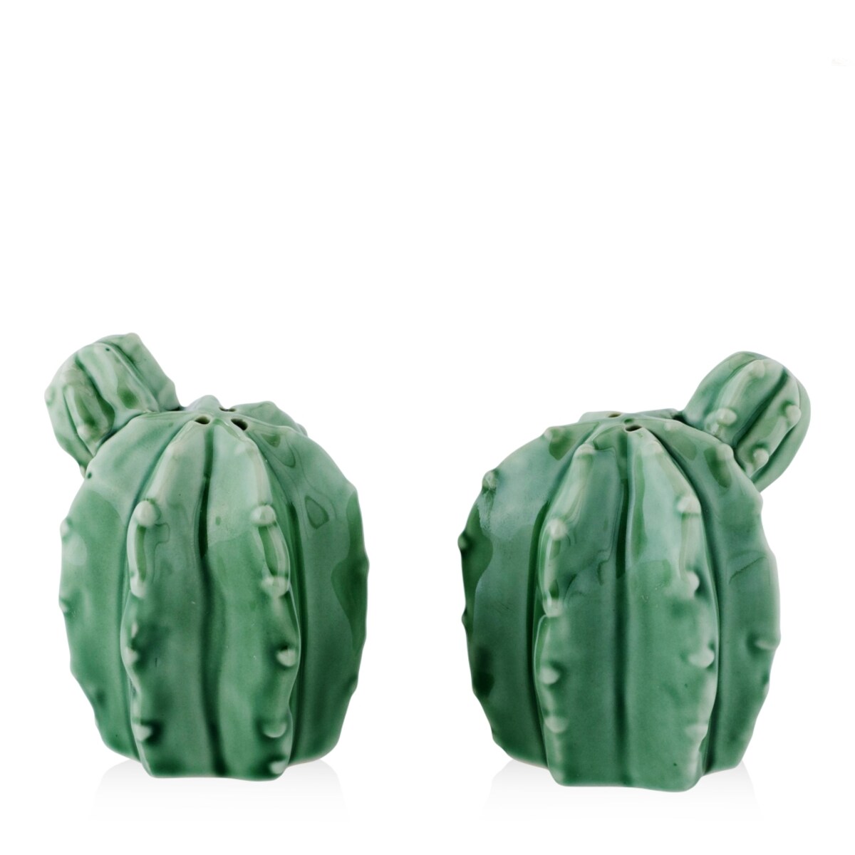 Solniczka I Pieprzniczka Cacto