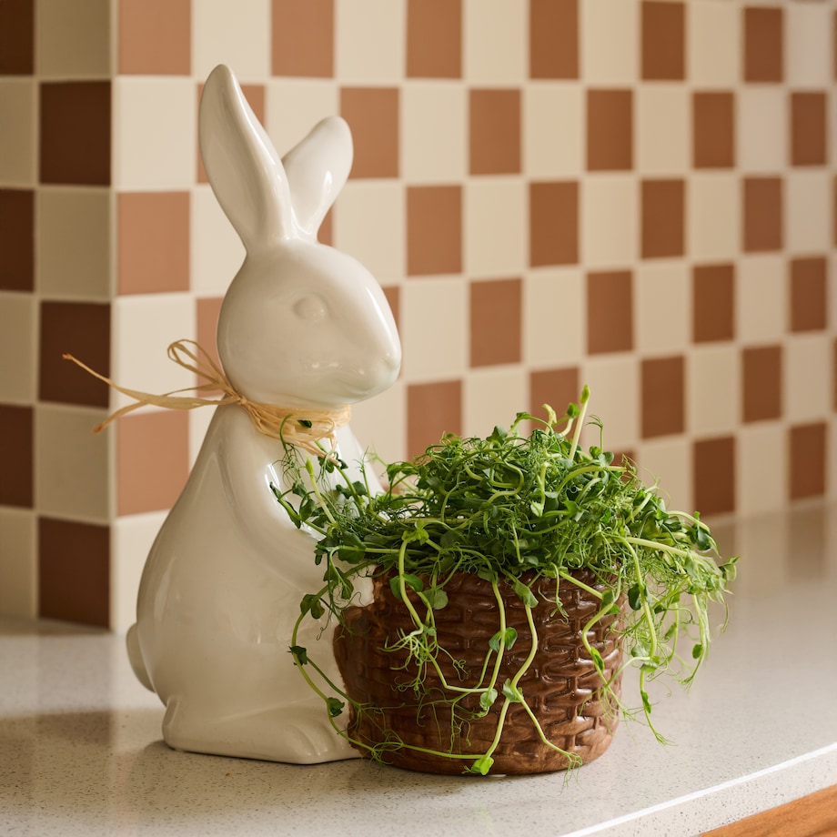 Osłonka Barrowrafios