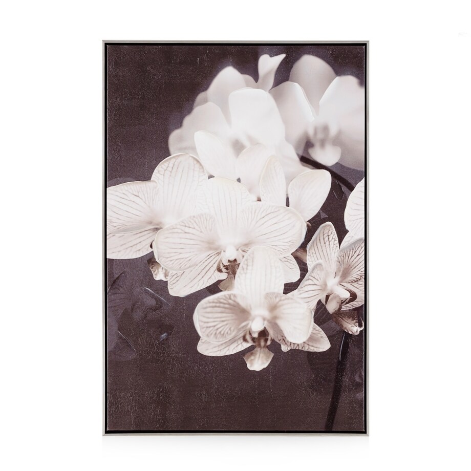 Obraz Orchides