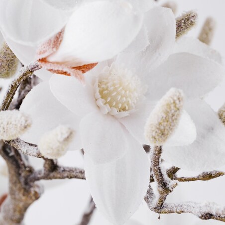Stroik Magnolia Snow