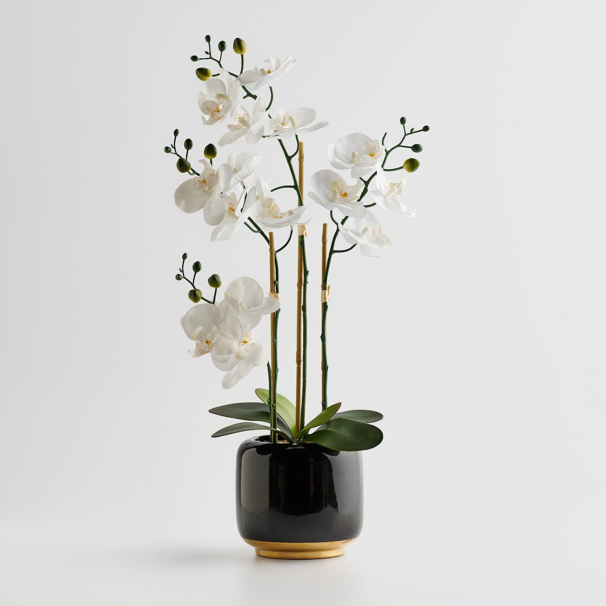 Stroik Orchesio z motywem roślinnym