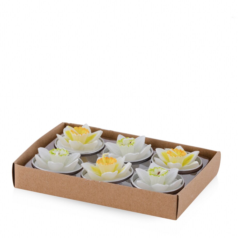 Komplet Podgrzewaczy Daffito