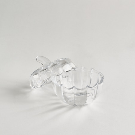 Pojemnik Glassdini