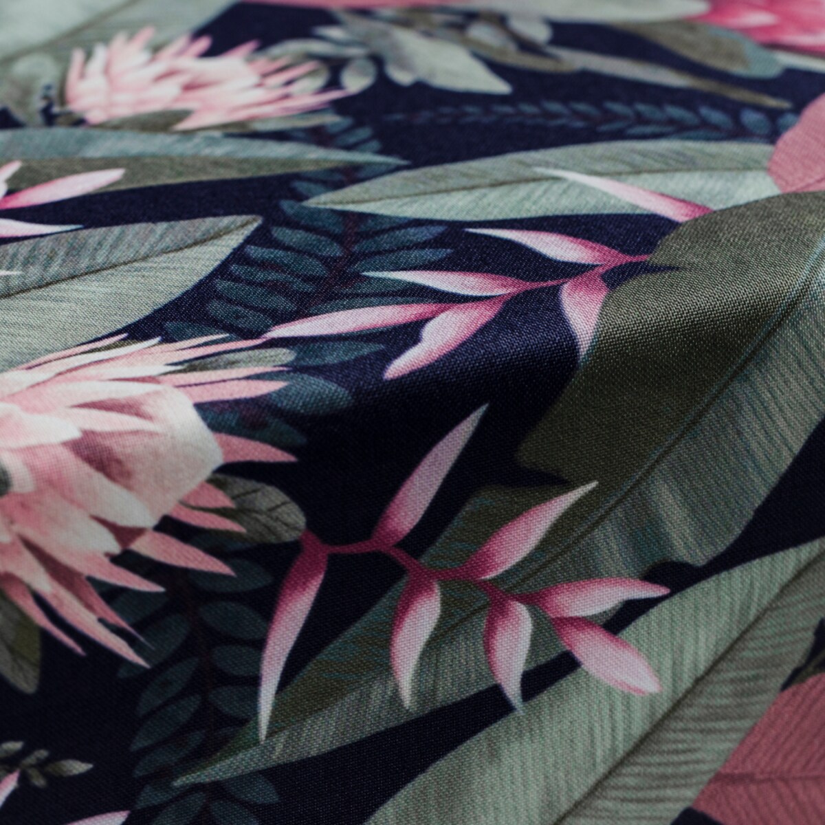 Cerata Protea 130x180