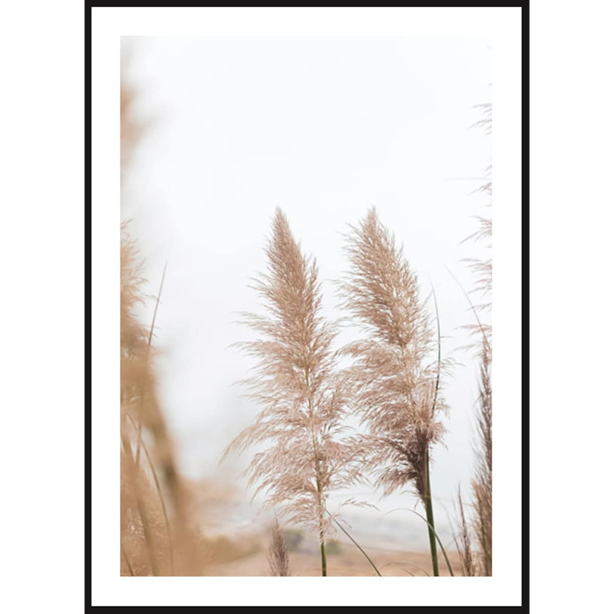 Poster Story, Plakat, Obraz - Wysuszona Trawa