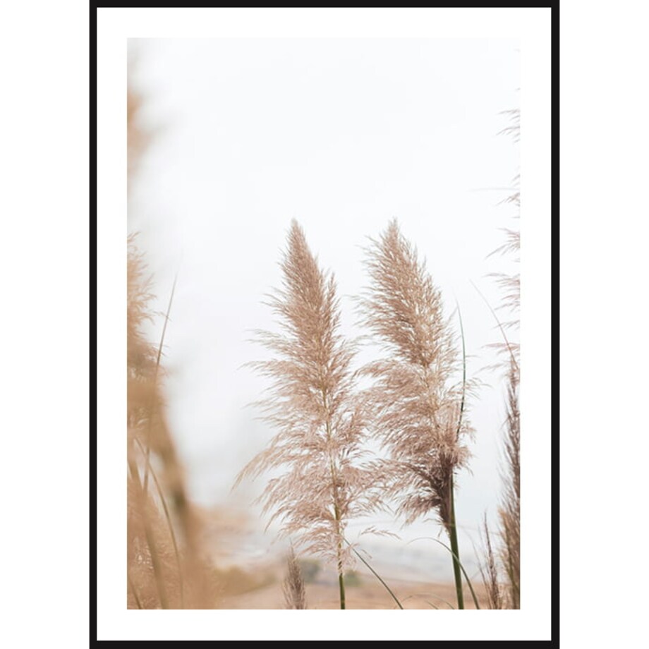 Poster Story, Plakat, Obraz - Wysuszona Trawa