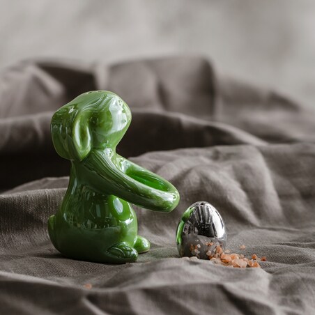 Solniczka I Pieprzniczka Rabbi Egg